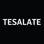 @tesalate's profile picture